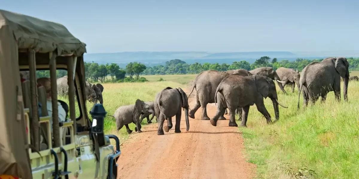 15 Best Places to Visit in Uganda