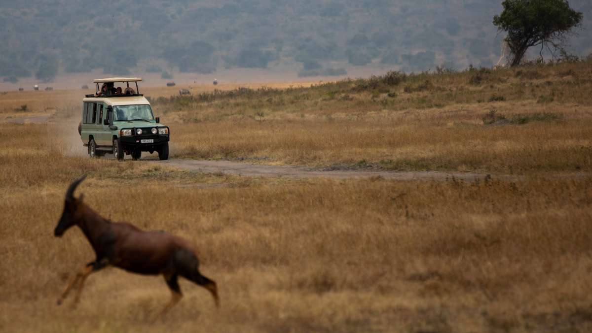 2 Day Akagera National Park Budget Safari