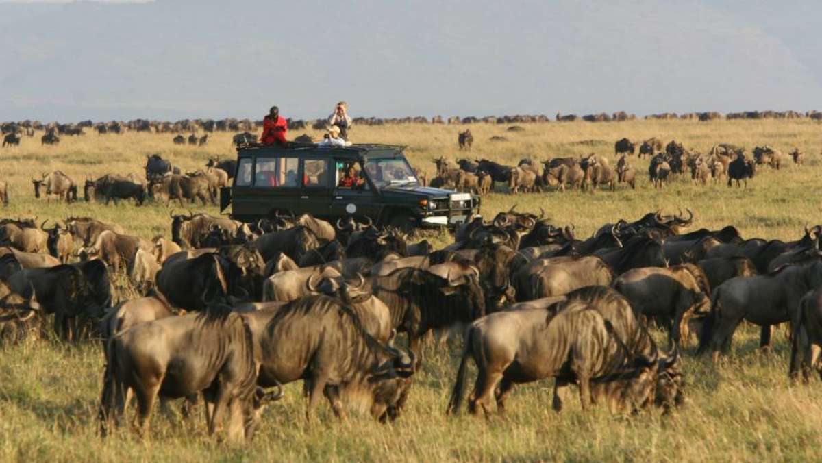 3 Day Masai Mara Luxury Safari