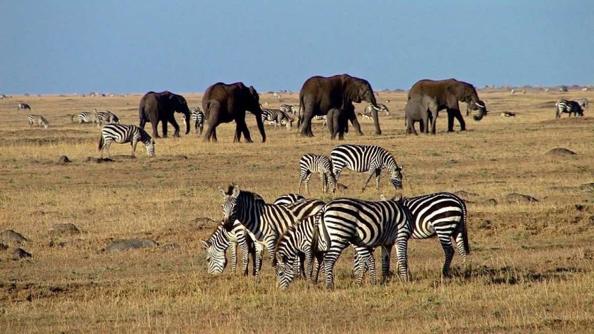 Masai Mara safari package