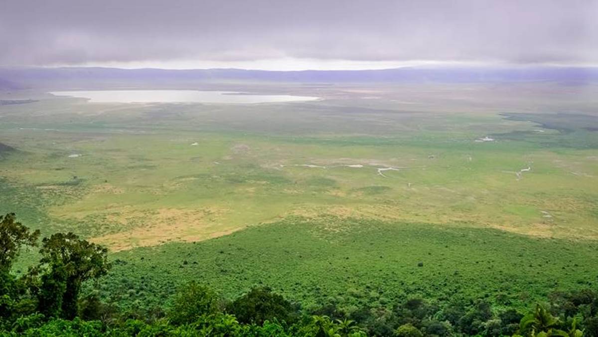 3 Day Ngorongoro Safari