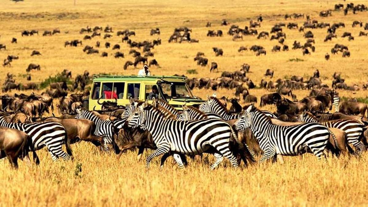 3 Day Serengeti Safari