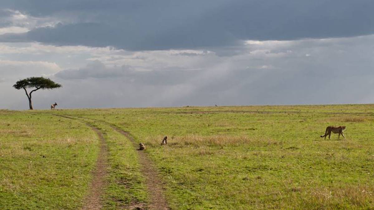 3 Day Serengeti Safari
