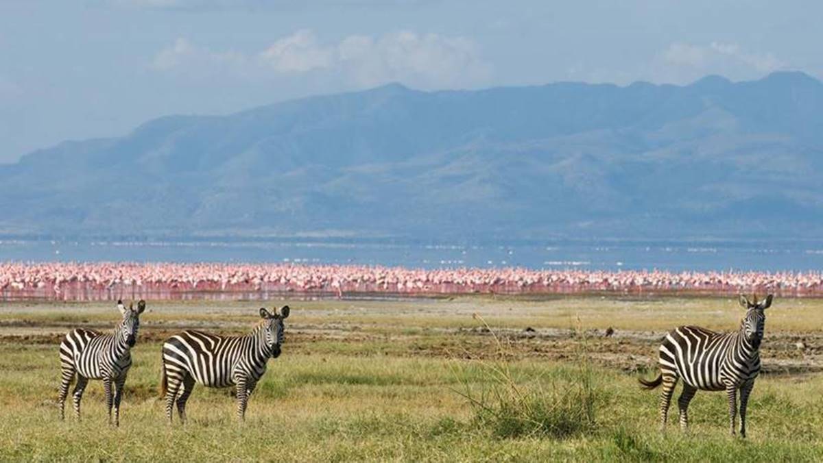 3 Days Lake Manyara Safari