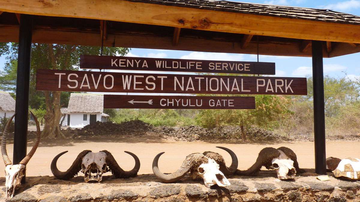 Tsavo West Tour