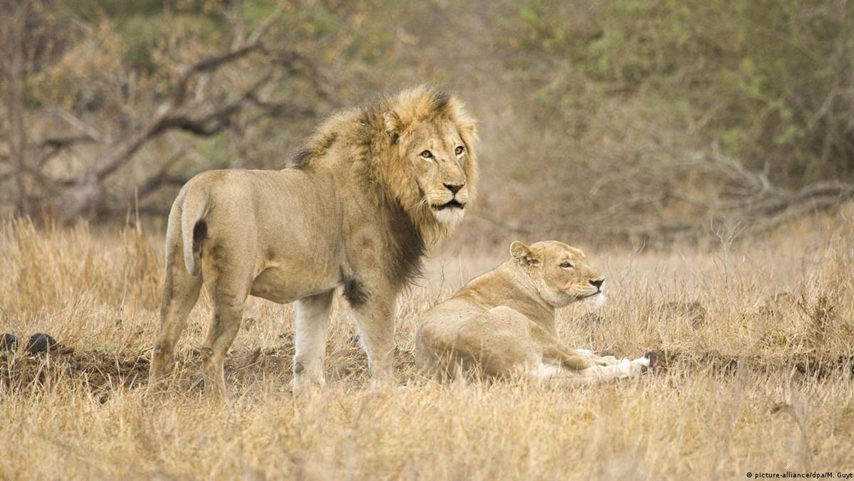 4 Day Kruger National Park Safari