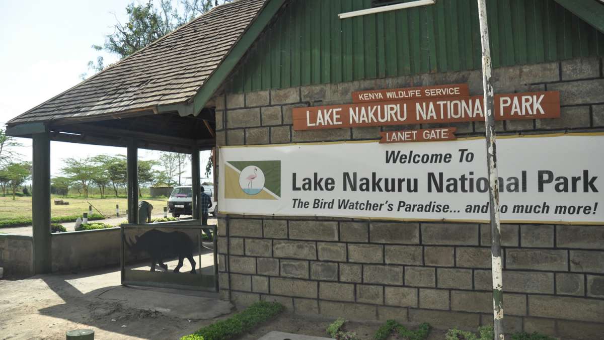 Lake Nakuru Masai Mara safari