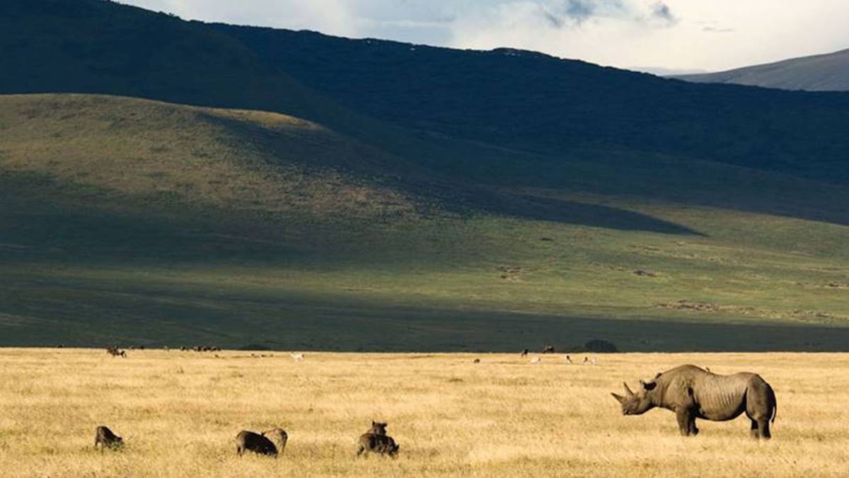 4 Day Serengeti Ngorongoro Safari