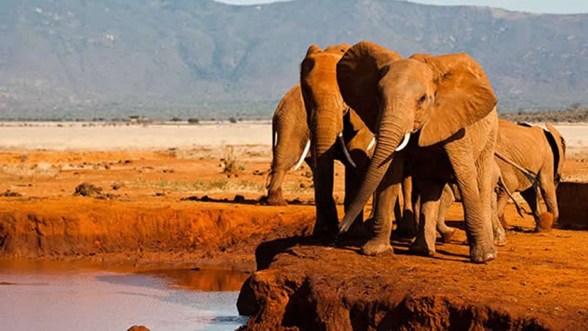 5 Day Affordable Kenya Safari