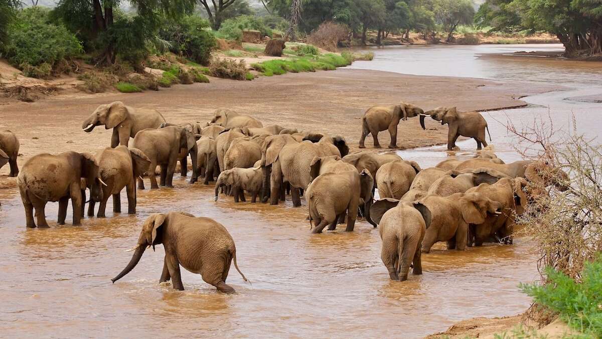 5 Days Budget Kenya Safari