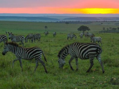 5 day Luxury Safari in Kenya