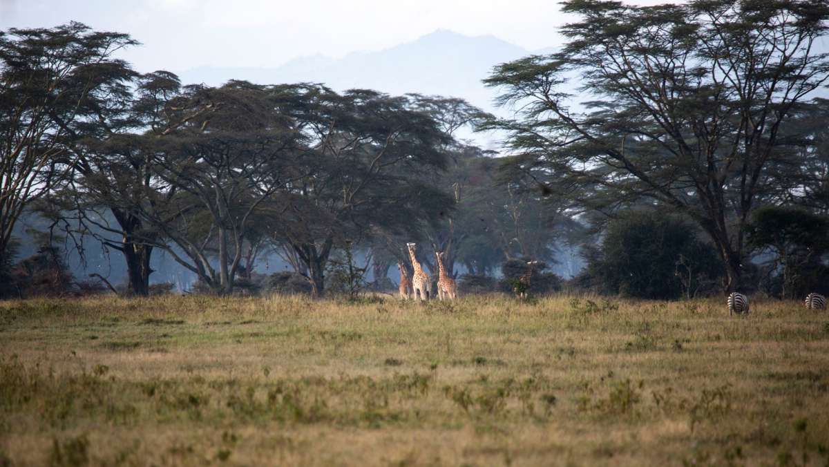 6 Day Kenya Camping Safari