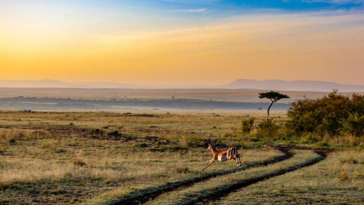 6 Days Uganda Safari tour
