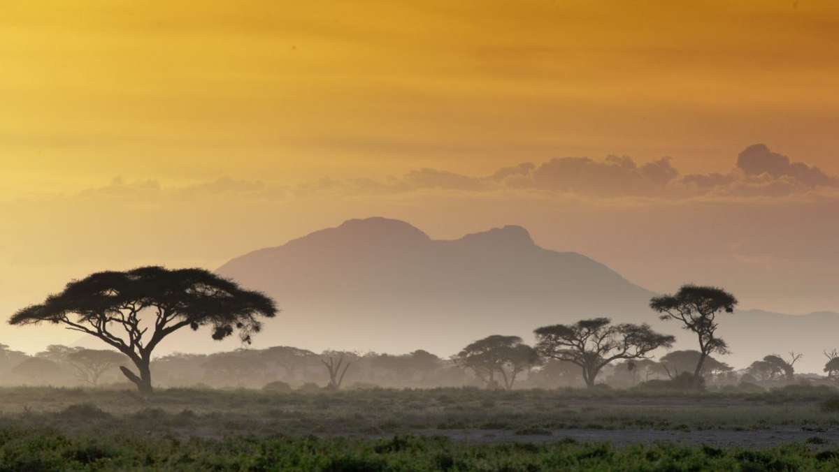 Flying Safari in Kenya