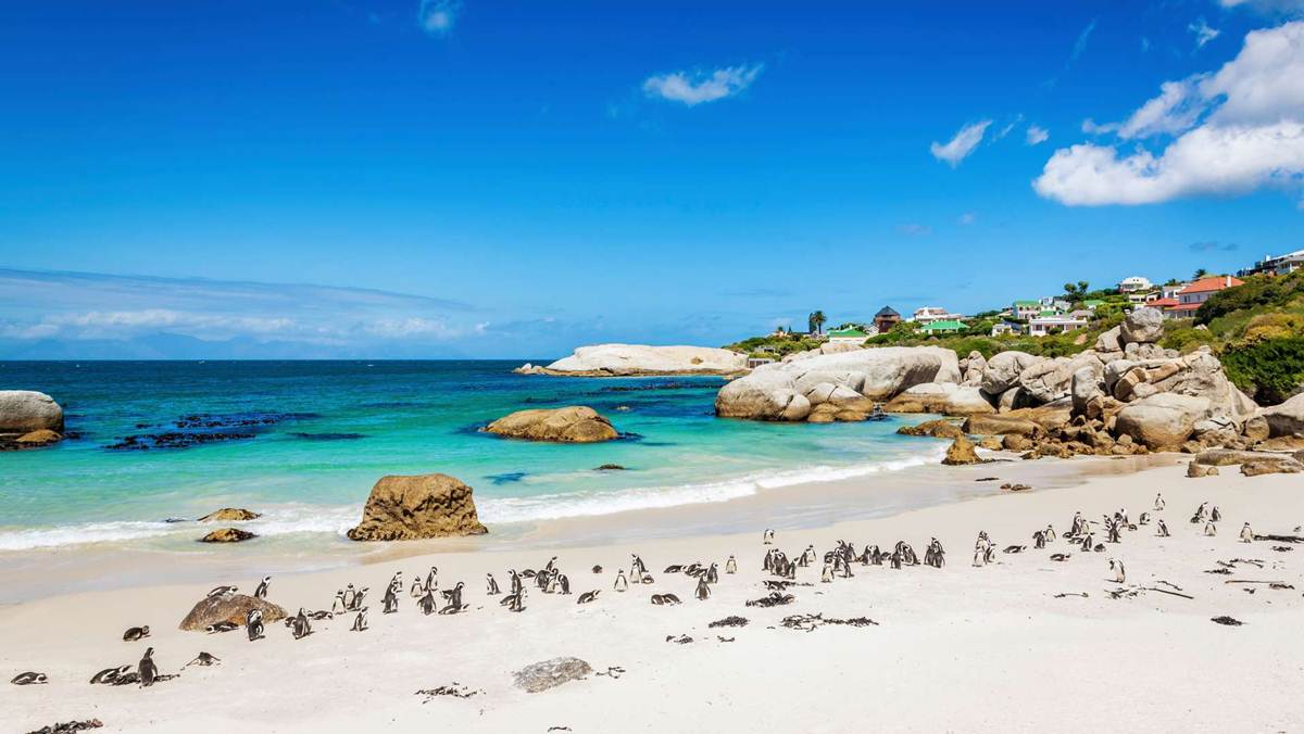 Best time to go to South Africa