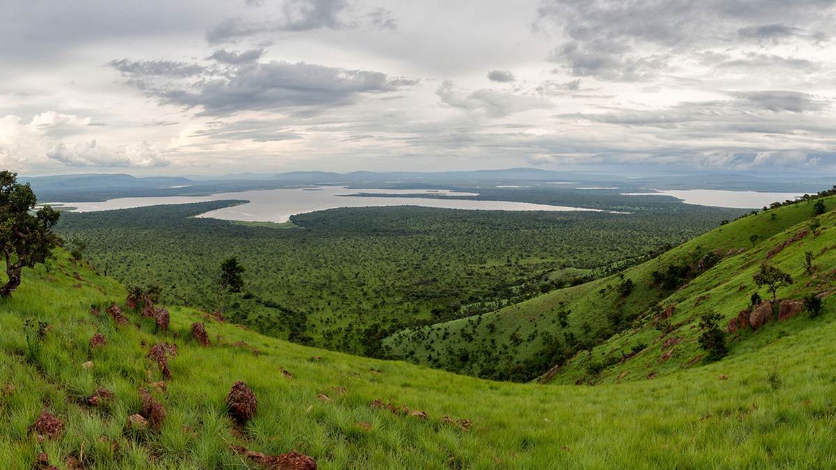 Best Time to Visit Rwanda