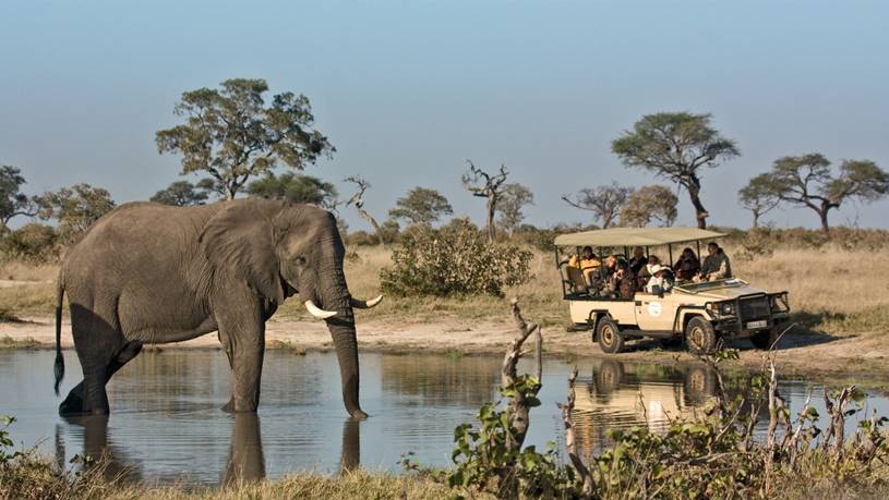 4 Day Botswana Family Safari