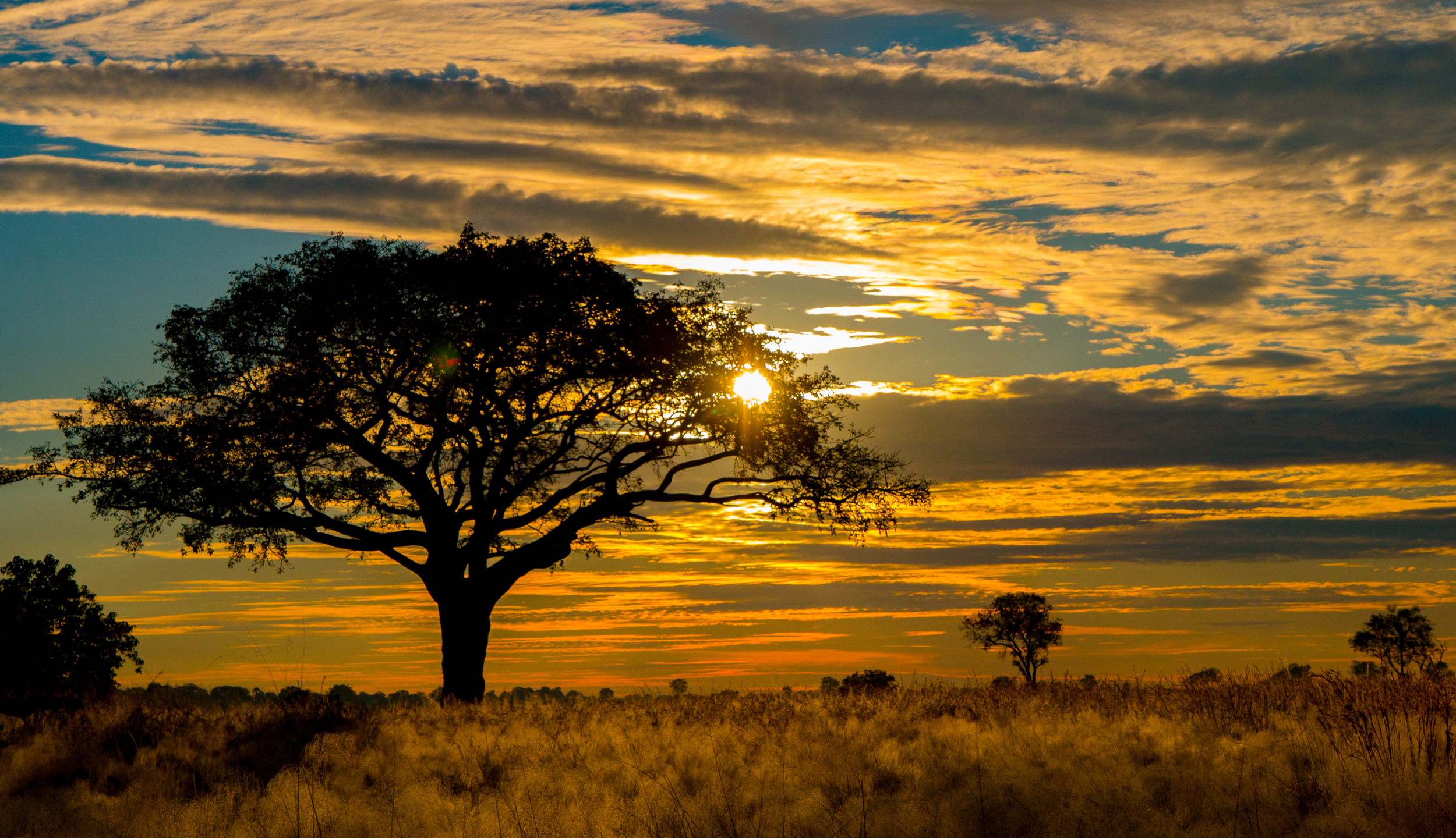 Botswana Safari Package