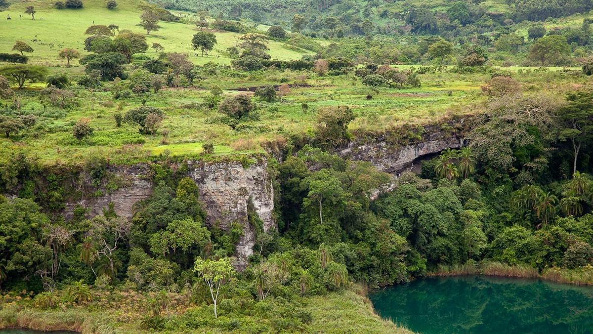 Kibale National Park