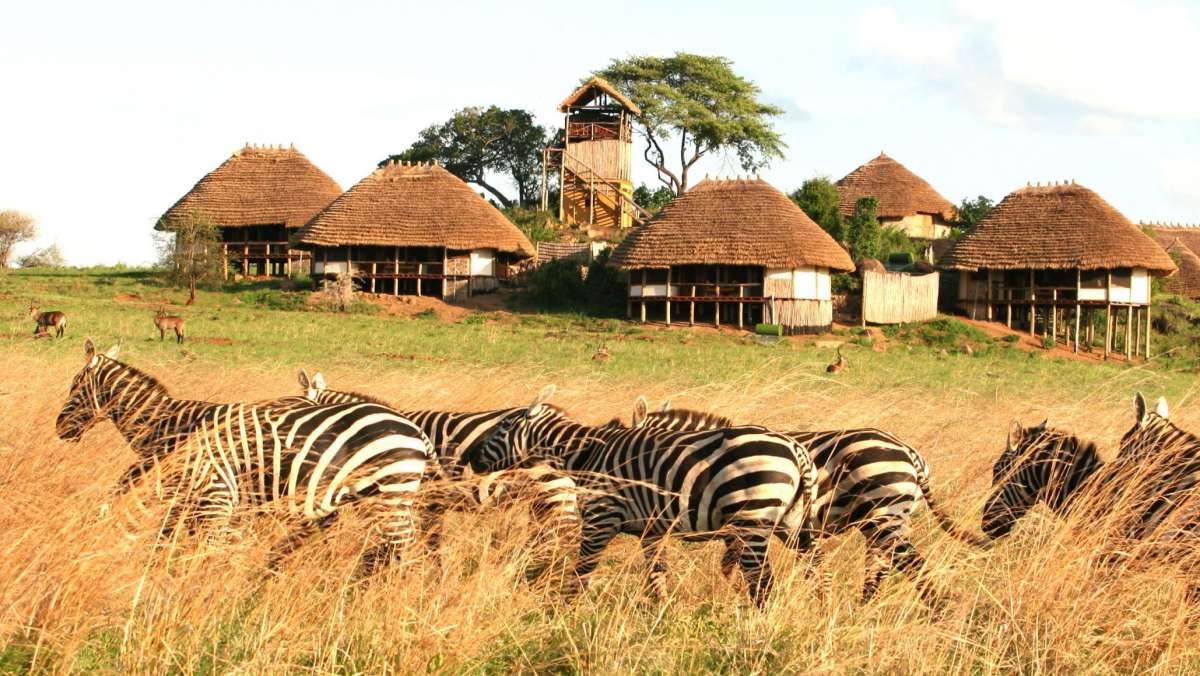 Kidepo Valley Safari