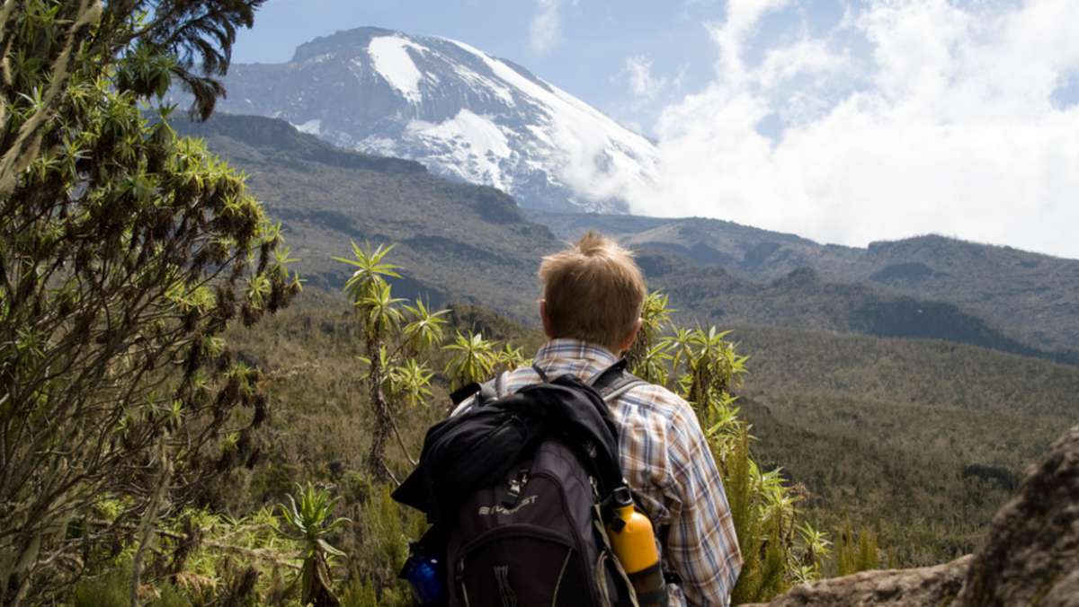Kilimanjaro Serengeti Tour Package