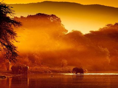 Lower Zambezi National Park