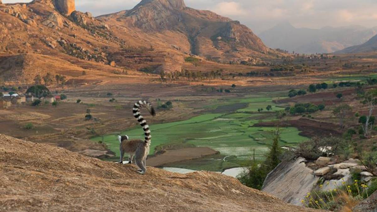 Madagascar Safari Trip