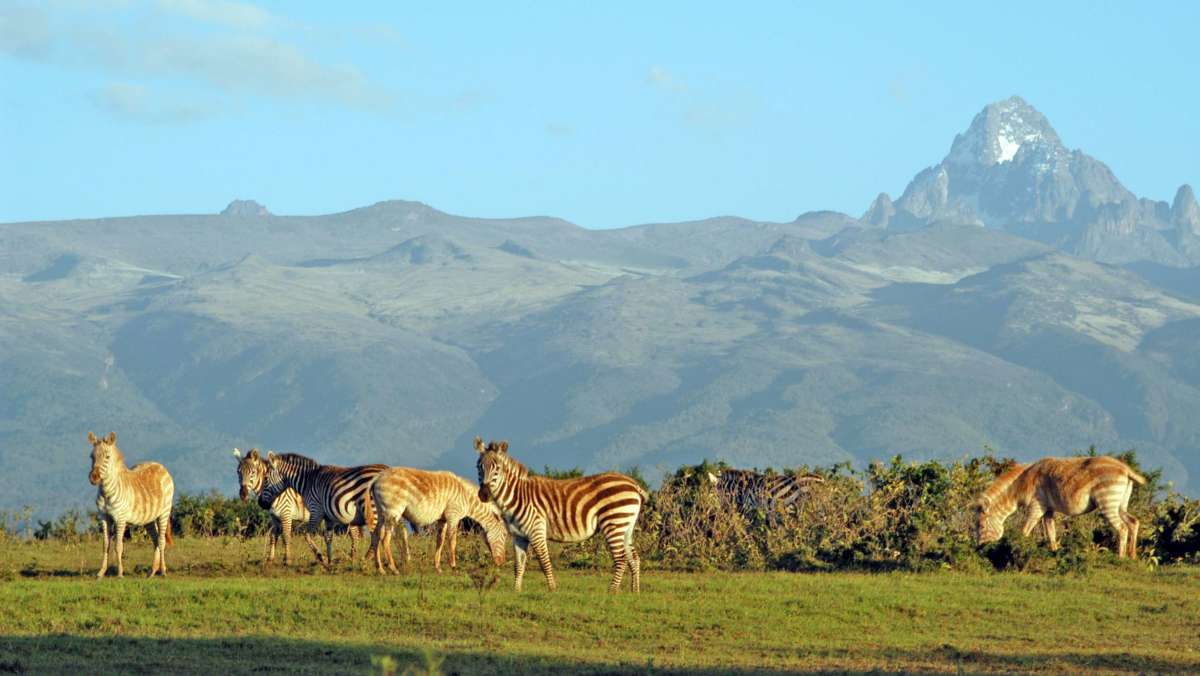 Magical Kenya safari