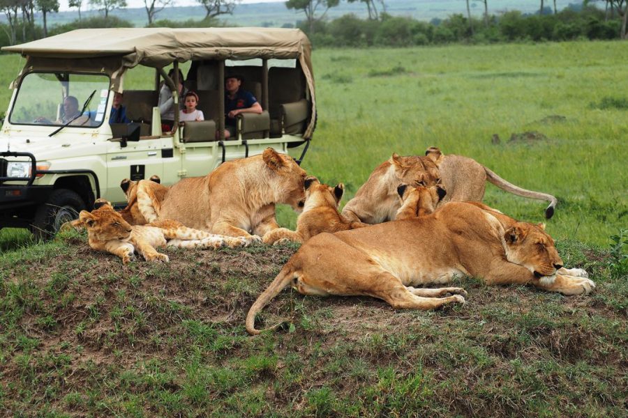 os Masai Mara best Africa Destination