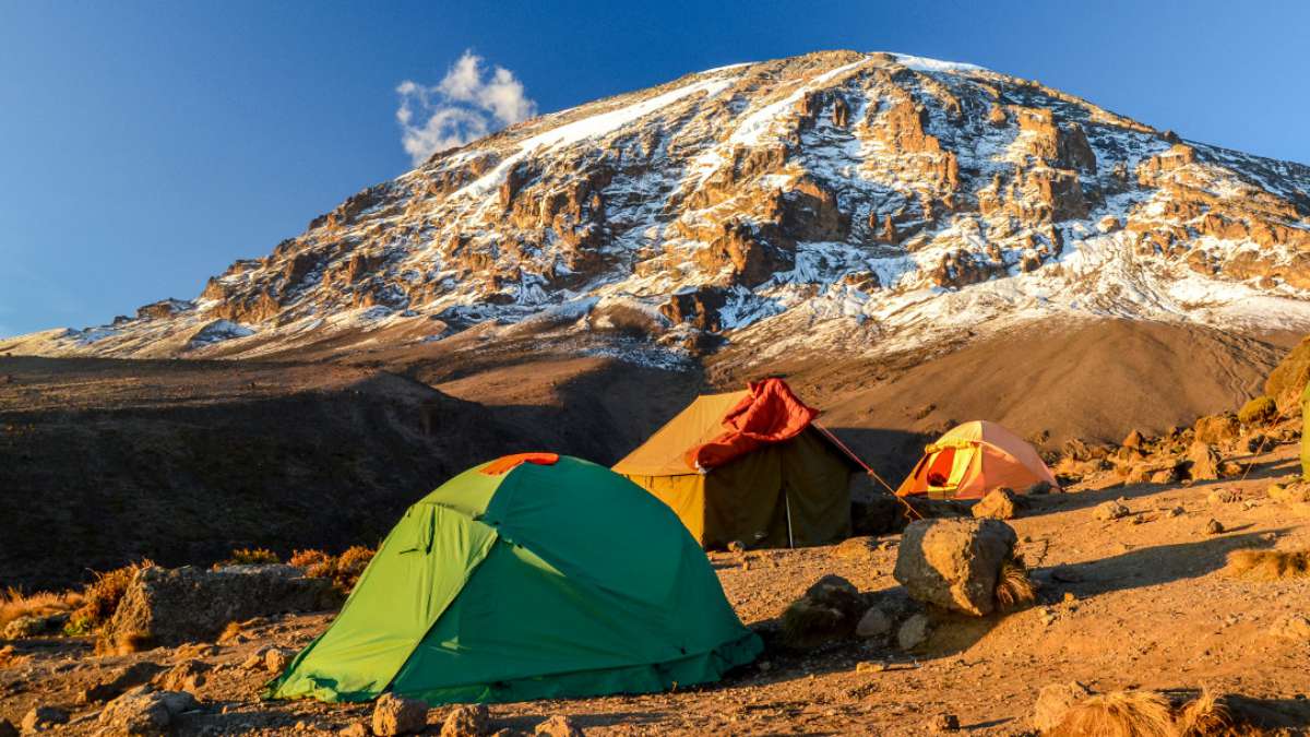 Mount Kenya and Kilimanjaro climb