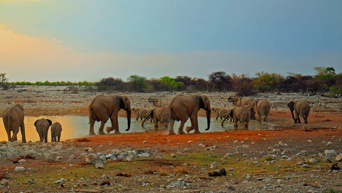 Namibia Budget Safari Tour