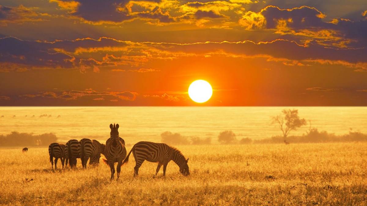 Namibia Budget Safari