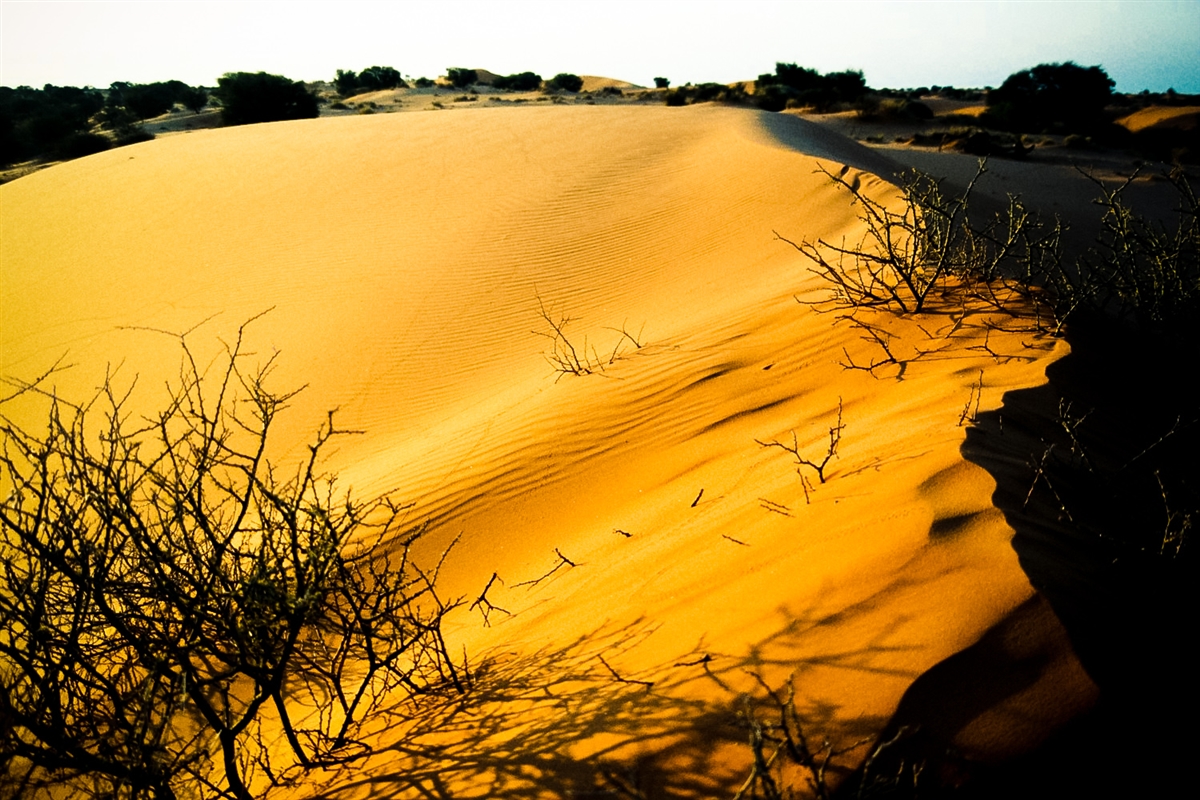 Namibia Safari Tour