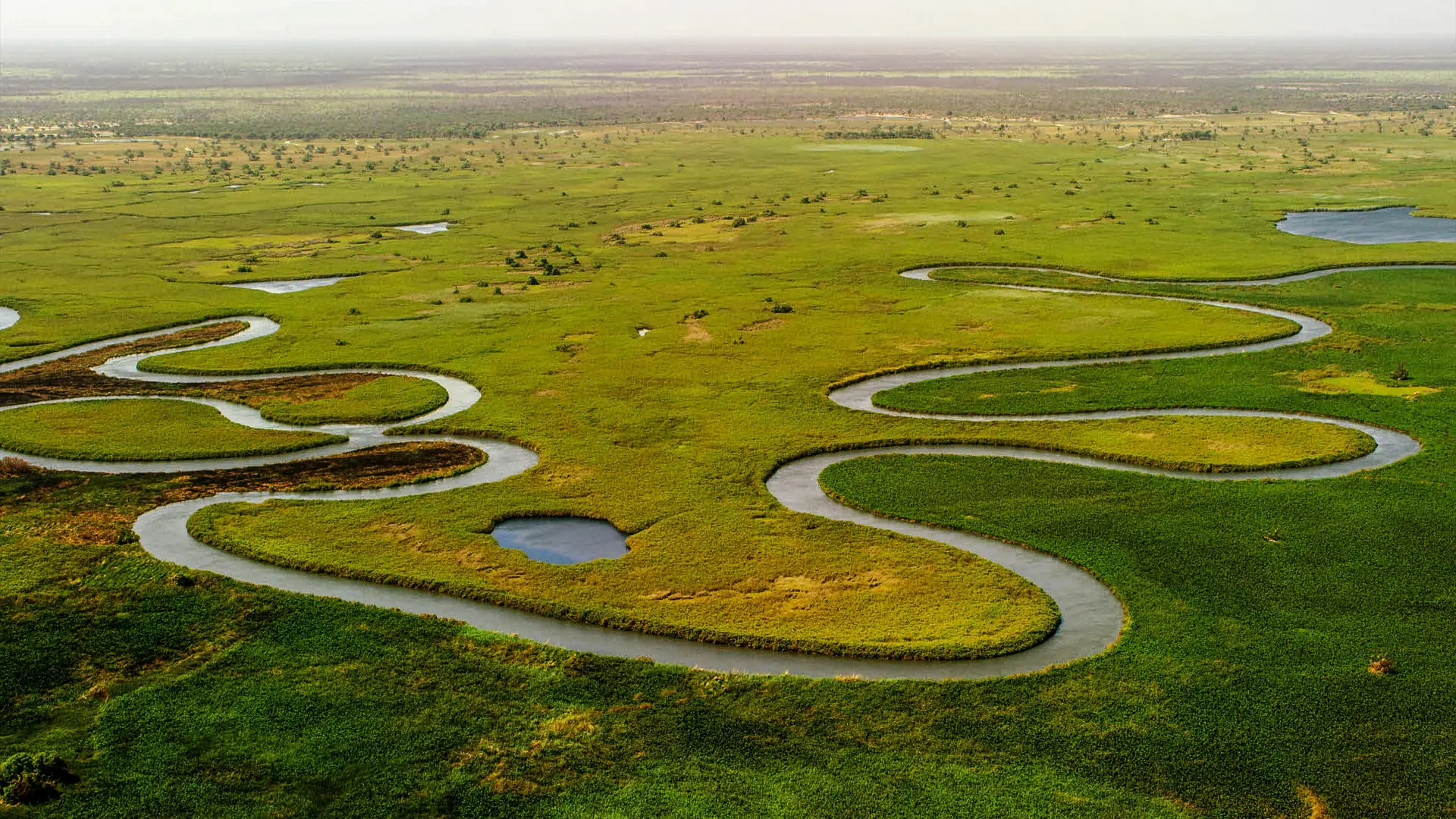 Okavango Delta Explorer safari