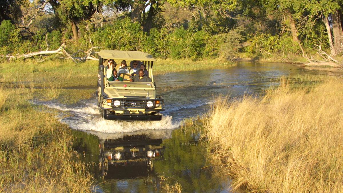 Okavango Delta Moremi Tour