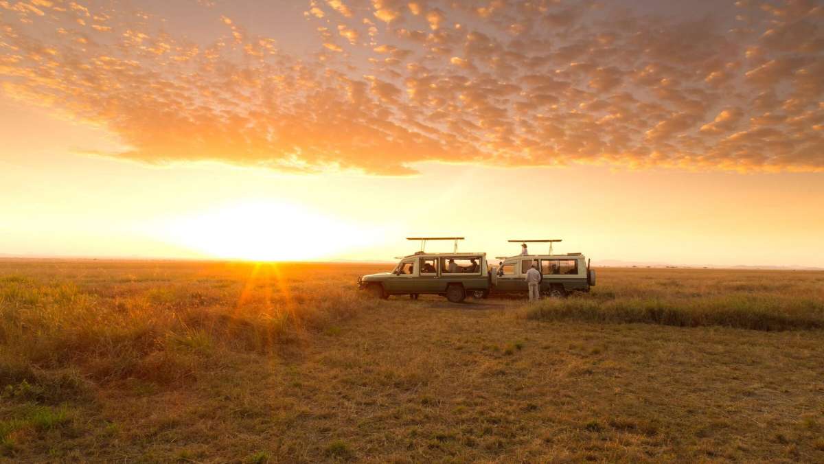 Serengeti Luxury Safari
