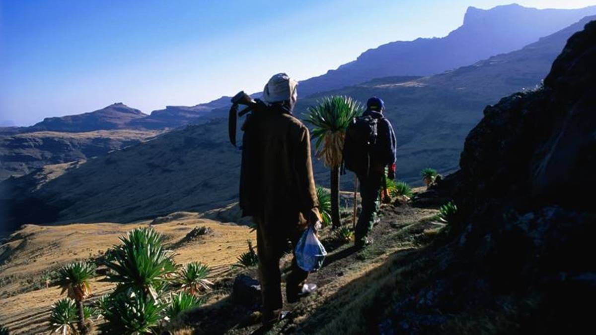 Simien Mountain Trekking Safari