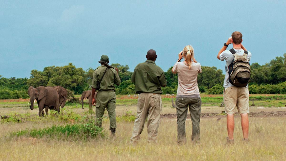 South Luangwa Budget Safari