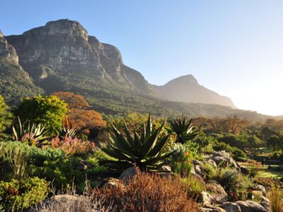 Things To Do in South Africa