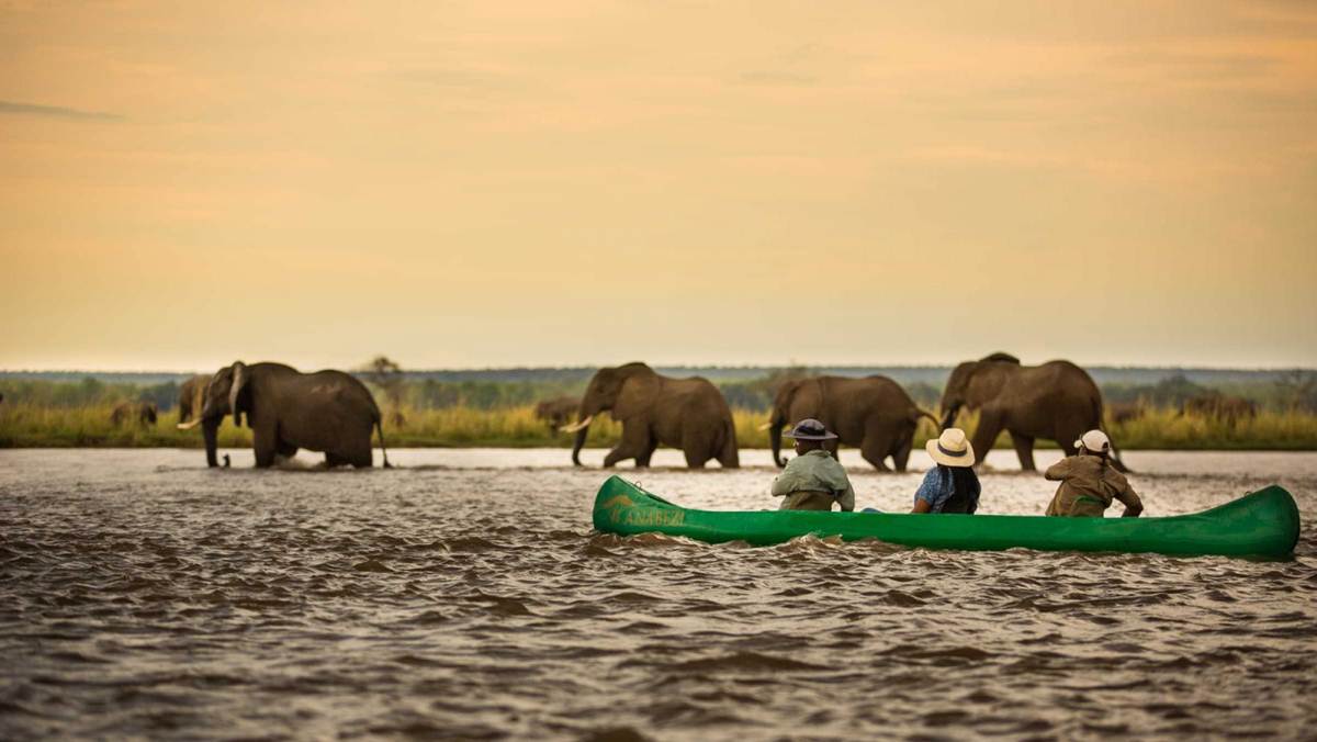 Zambia Safari Tour