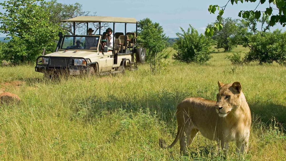 Zambia Wildlife Safari