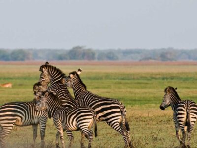 Best Tourist Attractions in Zambia
