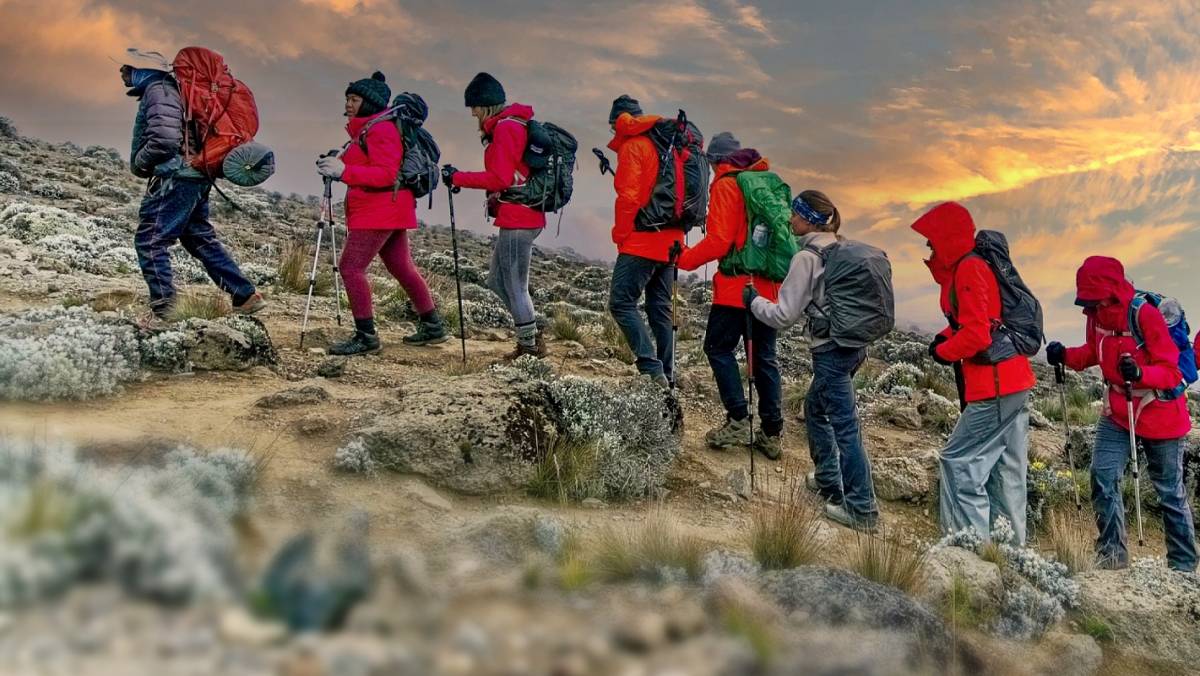Climbing Mount Kilimanjaro for Beginners