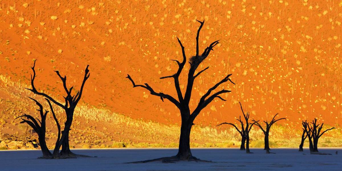 Most Beautiful National Parks in Namibia
