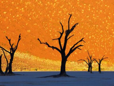 Most Beautiful National Parks in Namibia