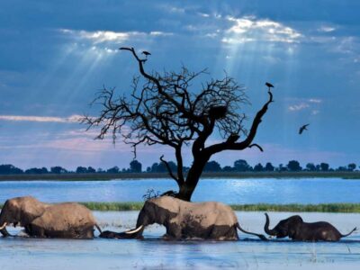 Unique things to do in Botswana